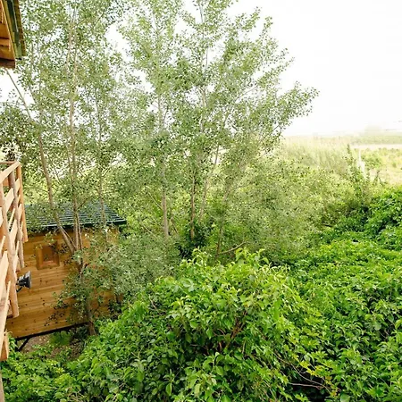 Holiday home Barba Thanasi's Outlook Kavasilas